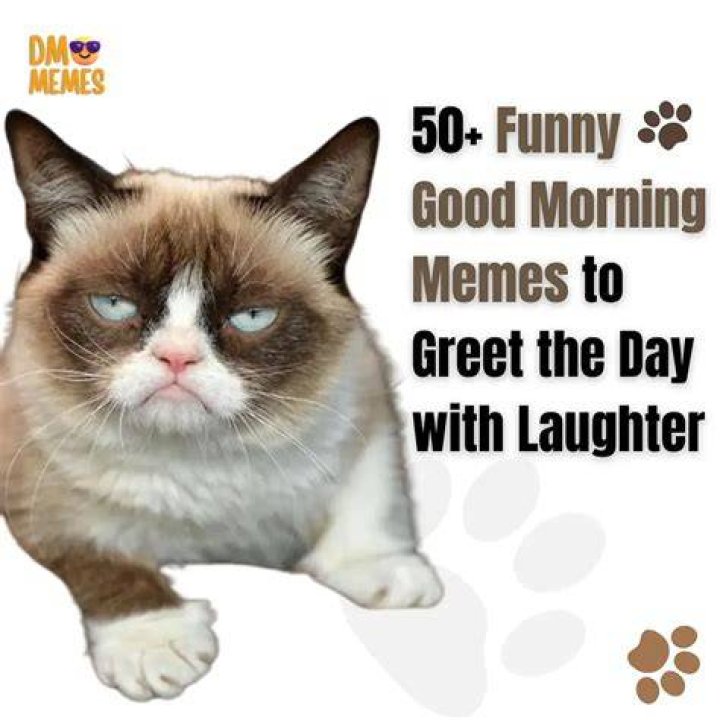 Wake Up to Laughter: The Ultimate Collection of Funny Good Morning Memes