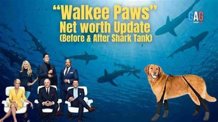 Walkee Paws Net Worth: A Financial Overview of the Canine Footwear Giant