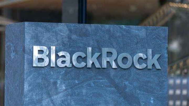 Was the Shooter in a Blackrock Video?