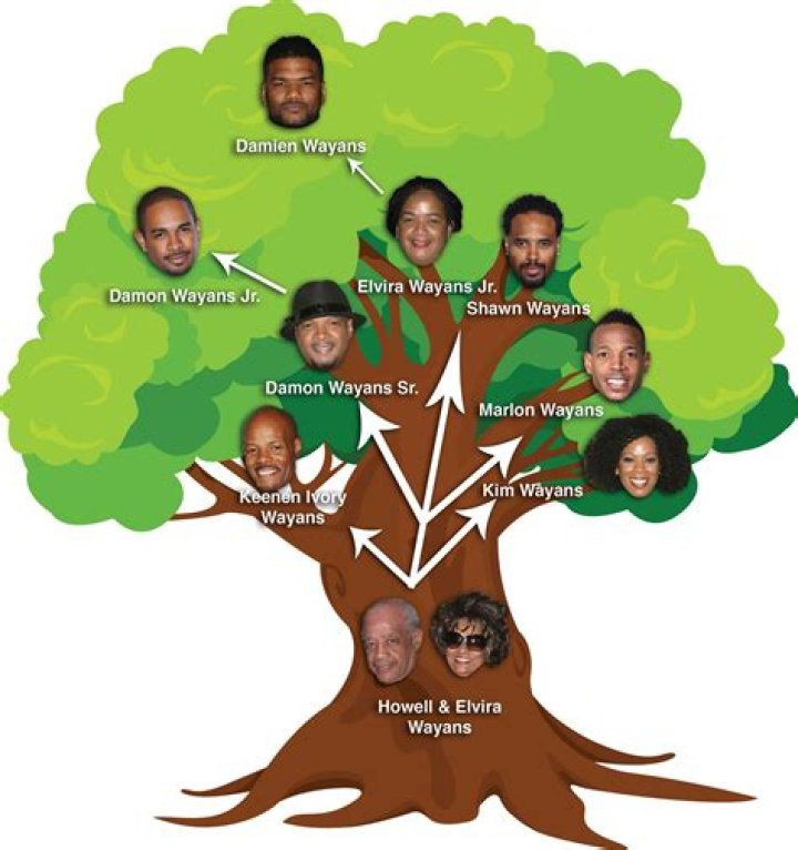 Wayans Sisters: A Deep Dive into Their Careers, Impact, and Legacy