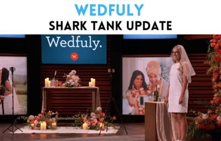 Wedfuly Net Worth 2024: A Comprehensive Analysis of Growth and Impact
