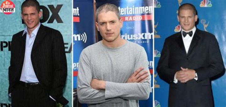 Wentworth Miller: A Look Into His Life and Career in 2024