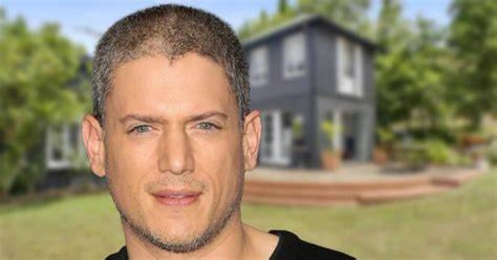 Wentworth Miller Net Worth 2024: A Deep Dive into the Star's Wealth