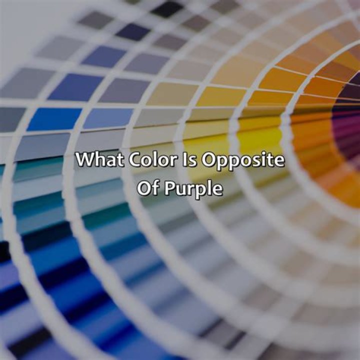 What Color is the Opposite of Purple? Understanding Color Theory