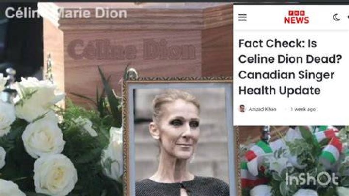 What Did Celine Dion Die Of? A Comprehensive Look at the Icon's Health Journey