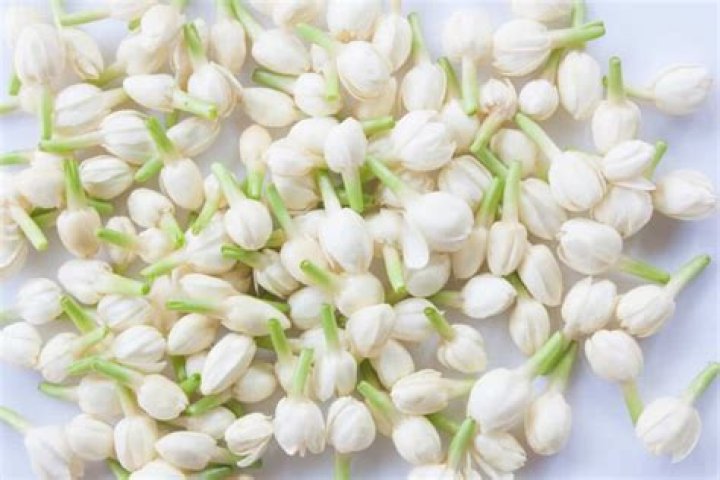 What Does Jasmine Smell Like? Discover the Alluring Aroma of Jasmine