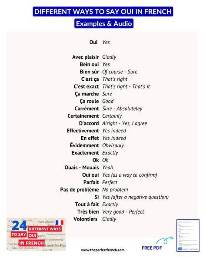 What Does Oui Oui Mean? Understanding the Meaning and Cultural Significance