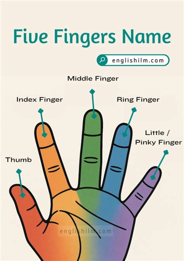 What Finger: Understanding the Significance of Each Finger in Everyday Life