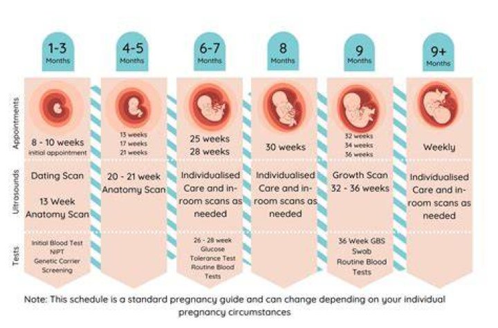 When is Kat's Baby Due? Understanding Pregnancy Timelines and Expectations