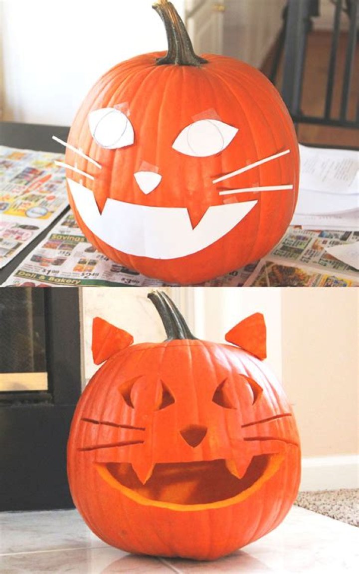 Whiskers and Waxes: The Art of Cat Pumpkin Carving