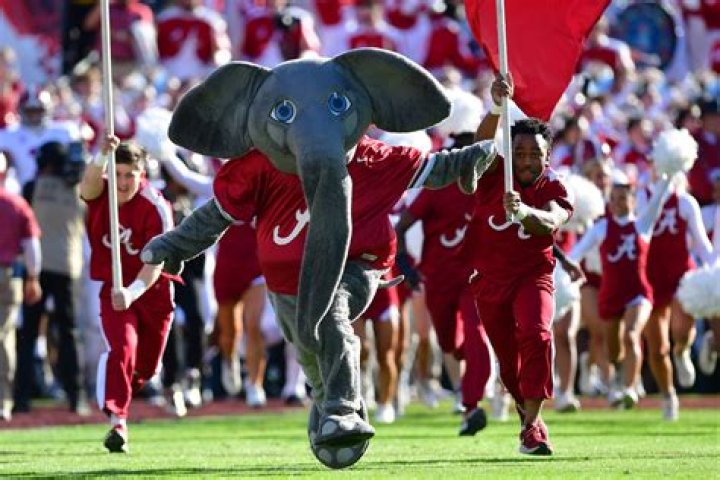 Why is the Mascot of Alabama an Elephant?