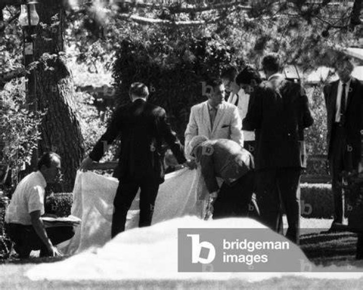 Why Was Sharon Tate Murdered? Unraveling the Tragic Story