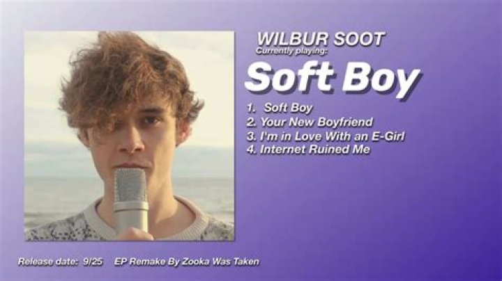 Wilbur Soot Drama: A Deep Dive into the Life of a YouTube Sensation