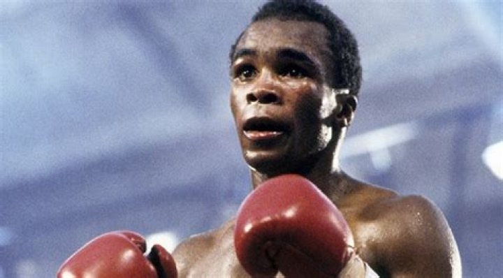 Wilfred Benitez Net Worth: A Deep Dive into the Boxing Legend's Wealth