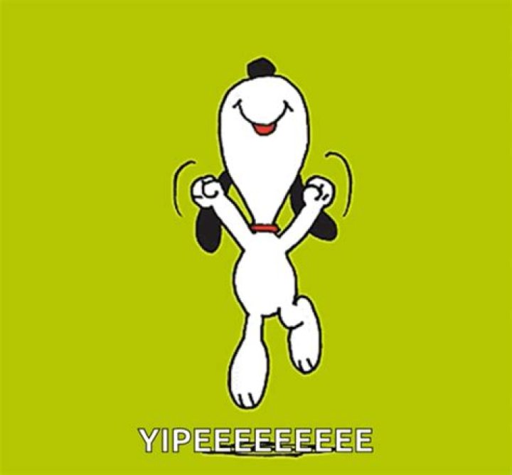 Yipee GIF: The Ultimate Collection for Celebrating Joyful Moments