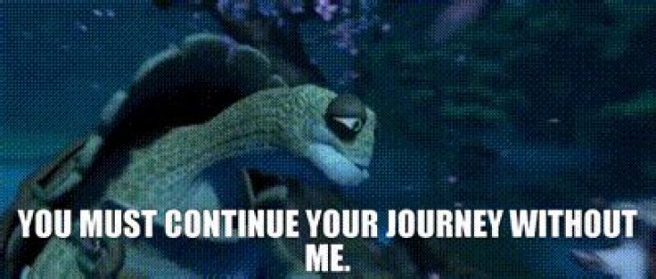 You Must Continue Your Journey Without Me