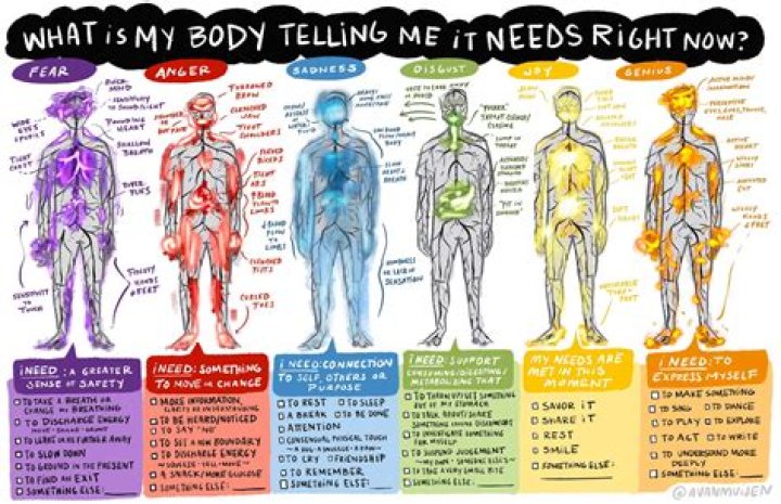 Your Body is a Wonderland: Exploring the Intricacies of the Human Body