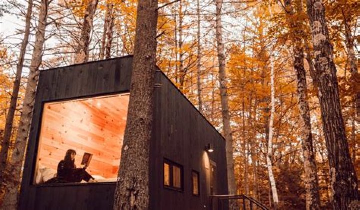 Zach's Cabin Colorado: A Perfect Getaway in Nature's Embrace