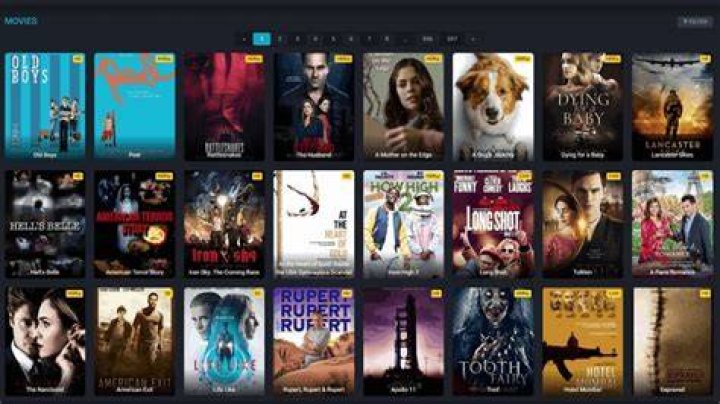 Zoechip: A Comprehensive Guide to Streaming Entertainment